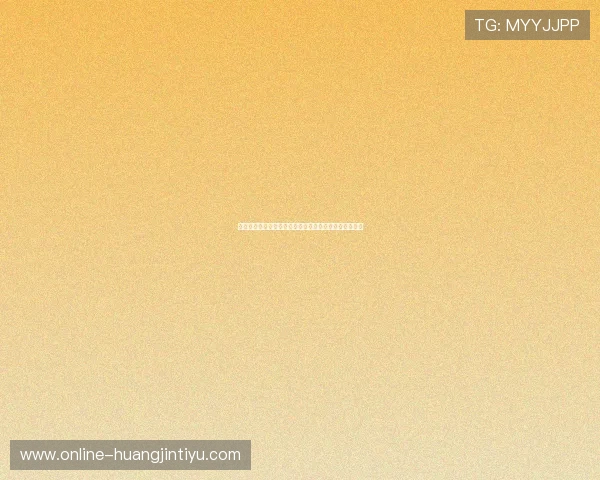 沙特队主帅表达对世界杯的期待与对球队未来发展的展望